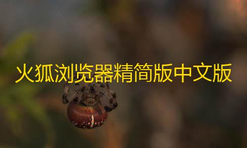 三角洲辅助科技网火狐浏览器精简版中文版